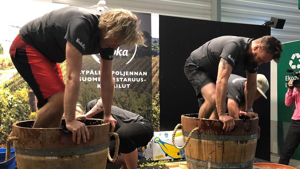 rypäleenpoljennan SM, rypäleet