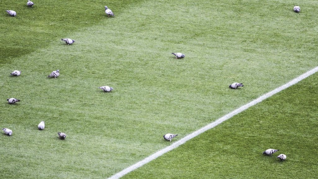 Puluja Camp Noun viheriöllä.