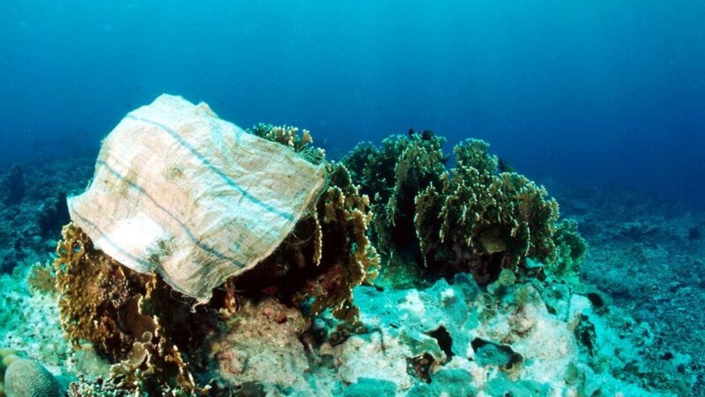 Maailman trooppisten koralliriuttojen tuhoutuminen on jo lähes varmasti peruuttamatonta, kertoo uusi ilmastoraportti.