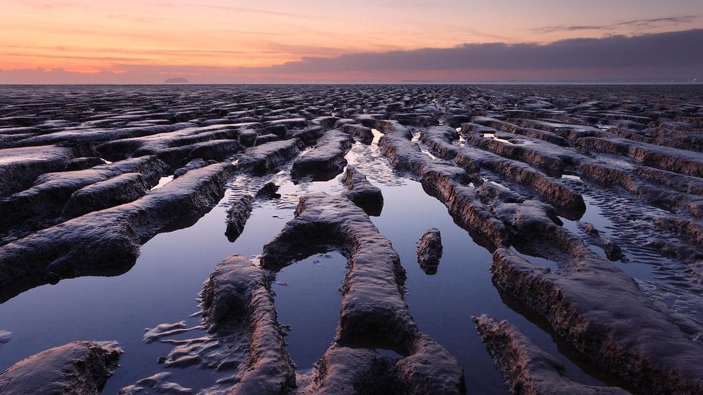 Kuva ei liity tapaukseen.