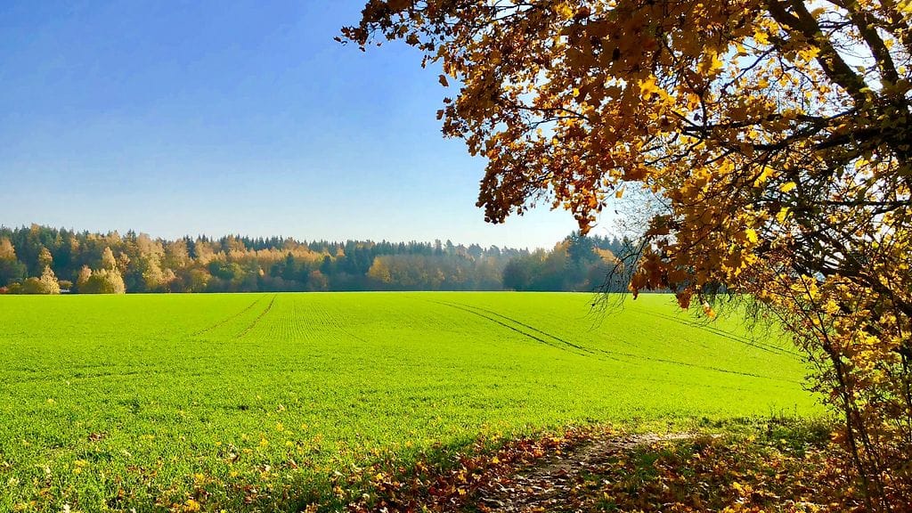 Talvea kaipaaville tuore kuukausiennuste tuo ikäviä uutisia: lunta ei ole luvassa vielä pitkään aikaan suuressa osassa maata.