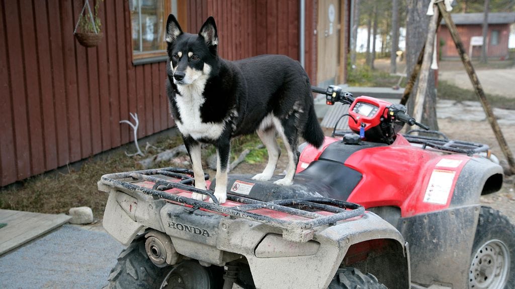 Nykypäivän monikäyttöiset traktorimönkijöistä on hyötyä ja iloa parhaimmillaan koko perheelle.