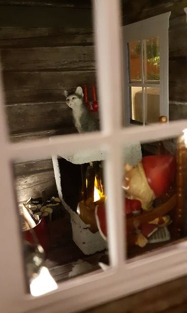 HUOM KUVA VAIN LIFESTYLEN ARTIKKELIIN  98046_2152831394956250_8352267727657762816_n