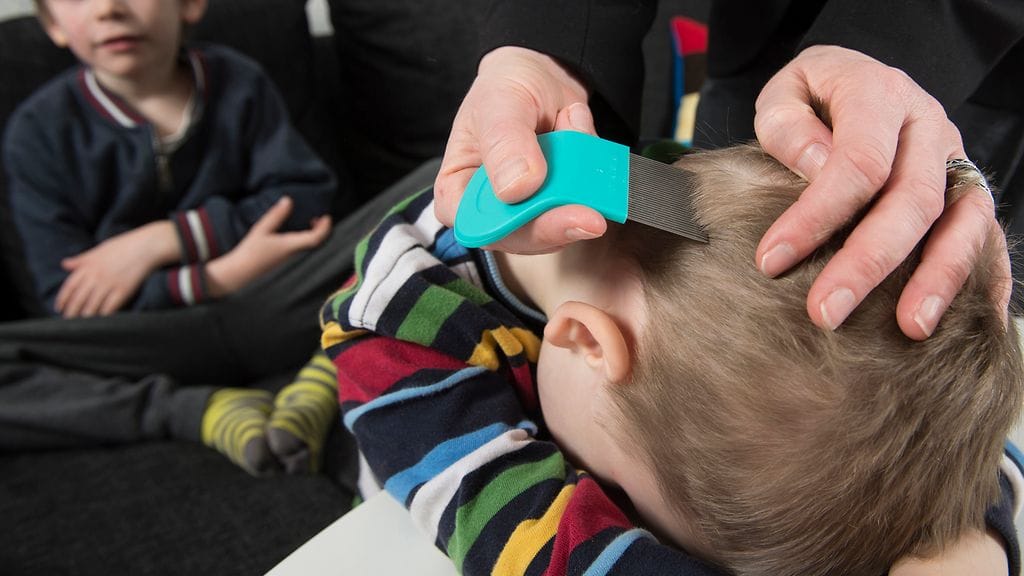 Lapsiasiavaltuutettu Tuomas Kurttilan mukaan täi- ja kihomatolääkkeiden tarjoamista lapsiperheille maksutta kannattaisi harkita. Kuvituskuva.