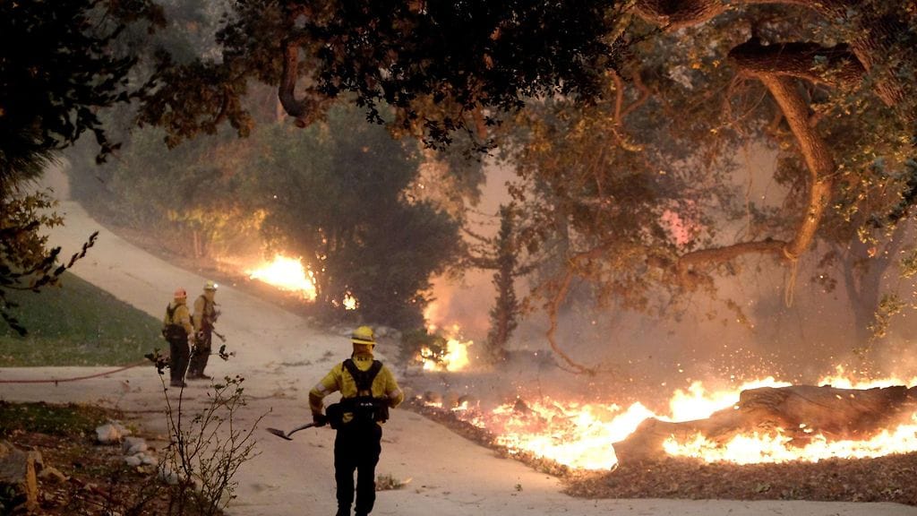 Kalifornia maastopalo lehtikuva 3