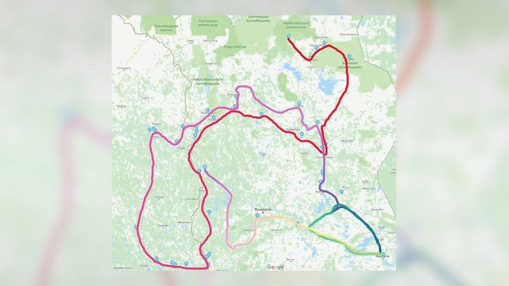 Koira vaelsi kesällä