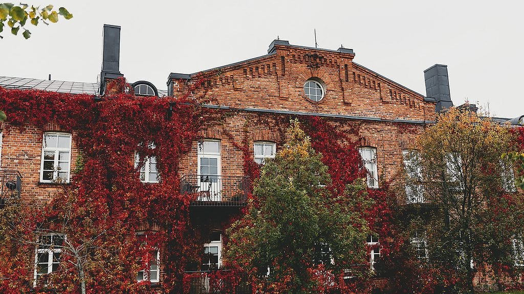 Kouvola on kaunis asuntomessut 3