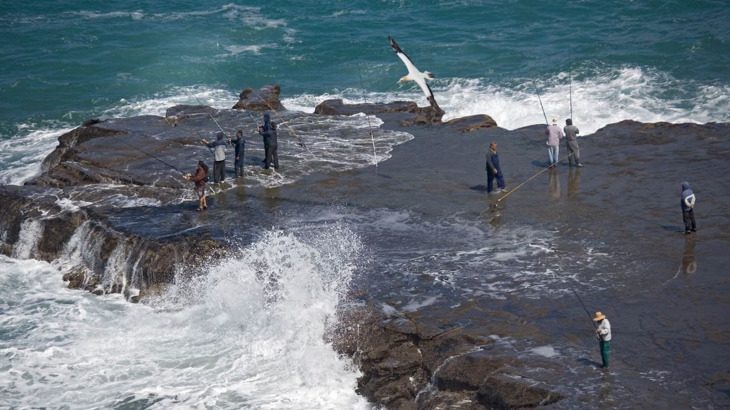 Arkistokuva uusiseelantilaisista kalastajista. Kateissa oleva poika oli kalastamassa rantakalliolla kolmen muun kanssa, kun hän yllättäen luiskahti aaltojen mukana mereen.