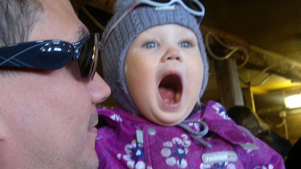 Karitsat herättivät isoja tunteita.