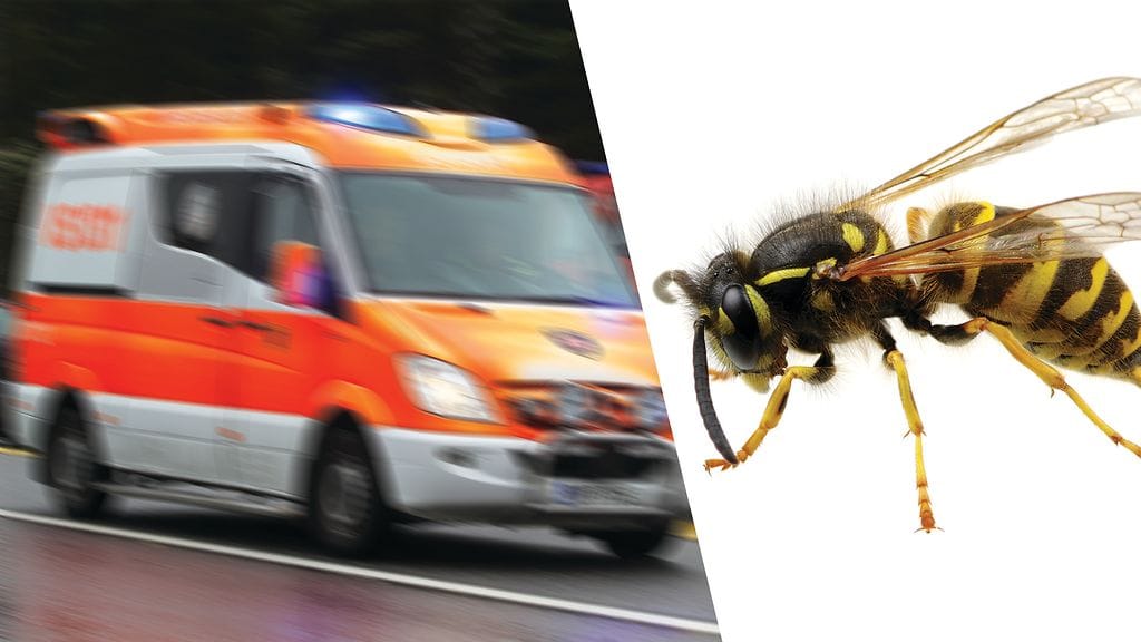 Ampiaisille allergista Saria pisti ampiainen suuhun kesken bussimatkan. Hän joutui soittamaan itselleen ambulanssin.