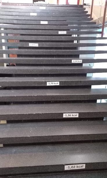 46498982_557216291405016_7911107803912077312_n (1)