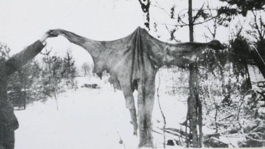 Jatkosota kannibalismi