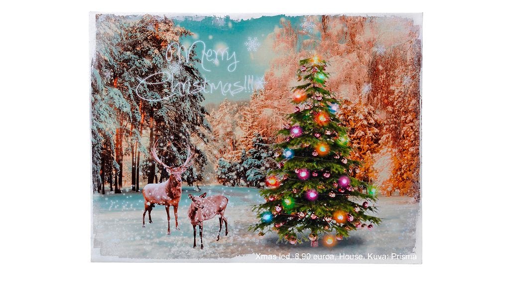 House Taulu Xmas led 8,90 euroa