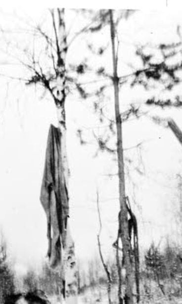 Kannibalismi jatkosota 4