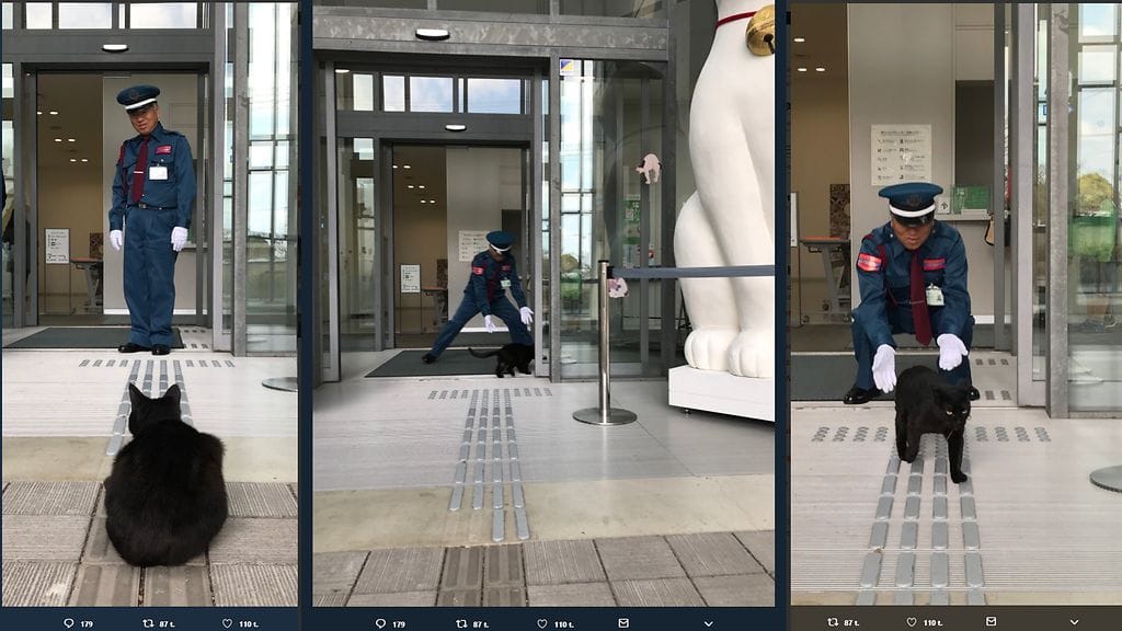 Museo on jakanut Twitter-tililleen
@bijutsu1 useita kuvia kissavieraista.