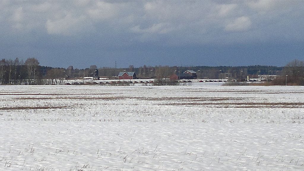 Monen sadan metrin autojono Haltialaan menevällä tiellä.