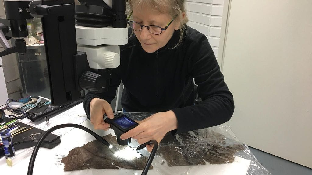 Kaarinan Ravattulan Ristimäen kalmiston kaivausten löydösten aineiston pohjalta ryhdytään toteuttamaan tieteellistä ennallistusta, muinaispukua. KUVA: Maikki Karisto tutkii mekon lautanauhaa Turun museokeskuksessa 16. marraskuuta.