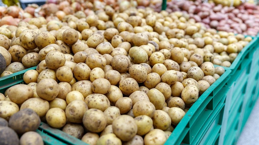 Vuonna 2019 suomalaisten lautasilla tullaan näkemään yhä enemmän kasviksia, kuten perunaa.