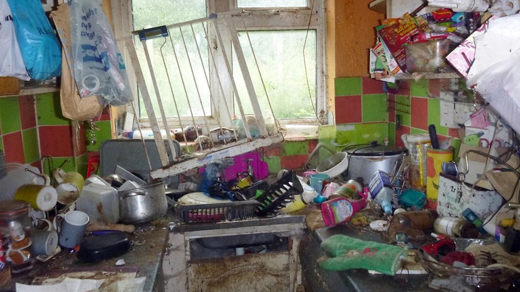 2_CATERS_FILTHY_CAT_HOUSE_03