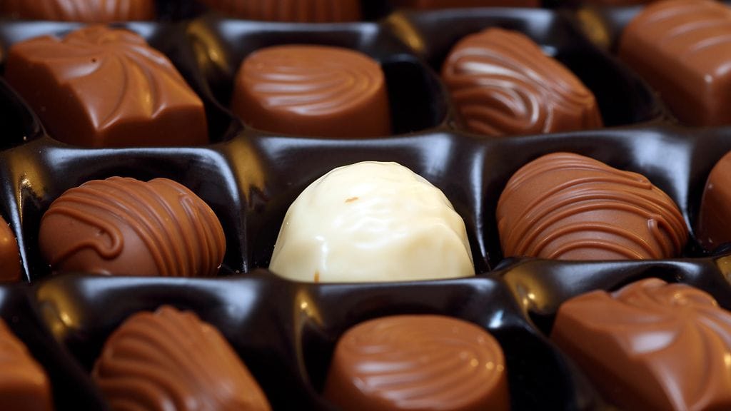 Kuvituskuva. Kuvan konvehdit eivät liity tapaukseen.