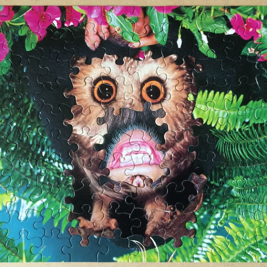 KUVA VAIN LIFESTYTLEN JUTTUUN6