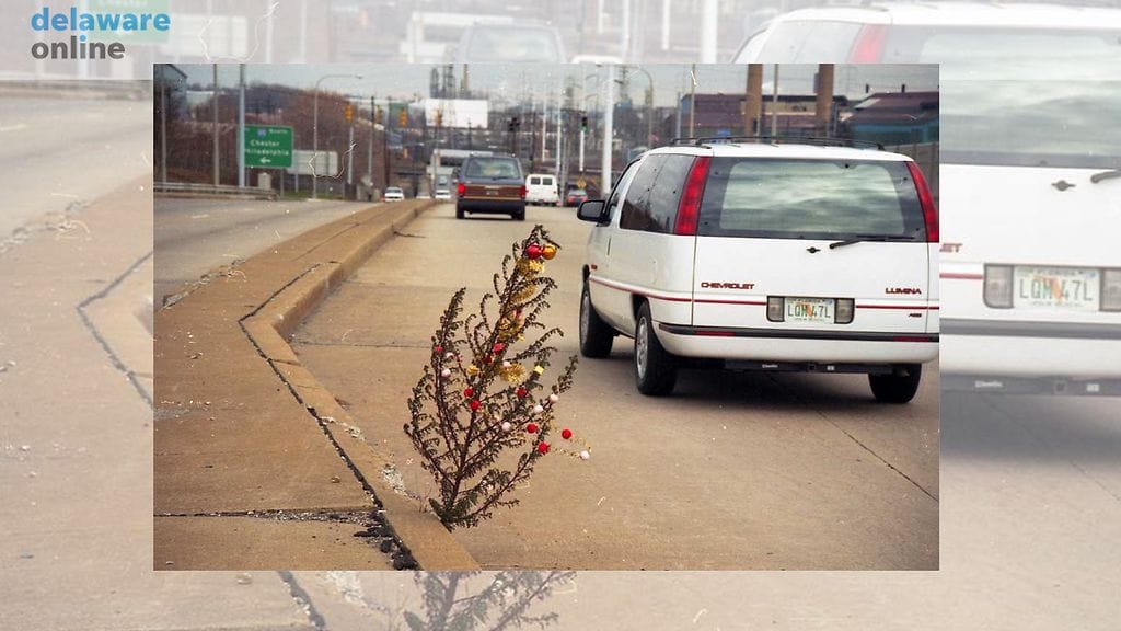 Alkuperäinen Delawaren joulurikkaruoho vuodelta 1993. Kuvan lähde Delaware Online