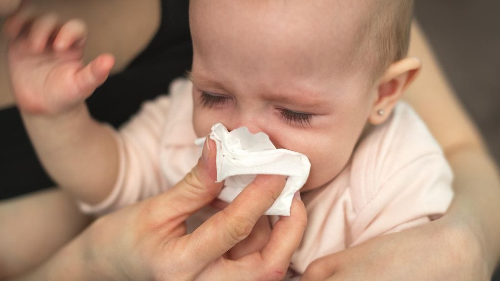 Nenästä löydetty laaja bakteerikanta saattaa nopeuttaa flunssasta paranemista. Kuvituskuva.