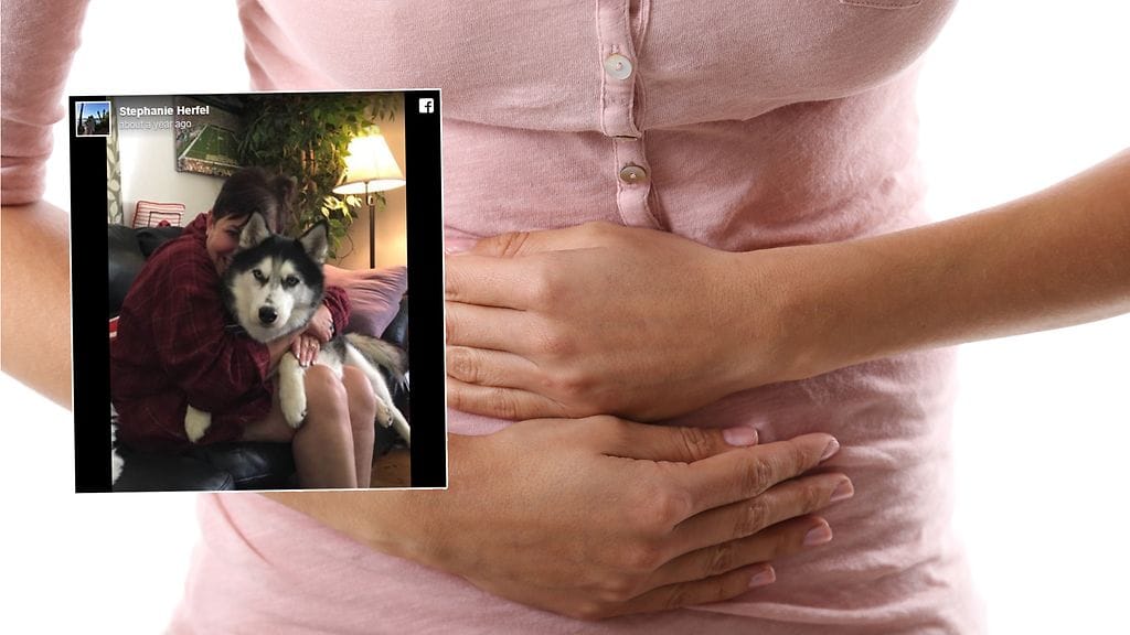 Huskyn tarkka hajuaisti pelasti Stephanien elämän.