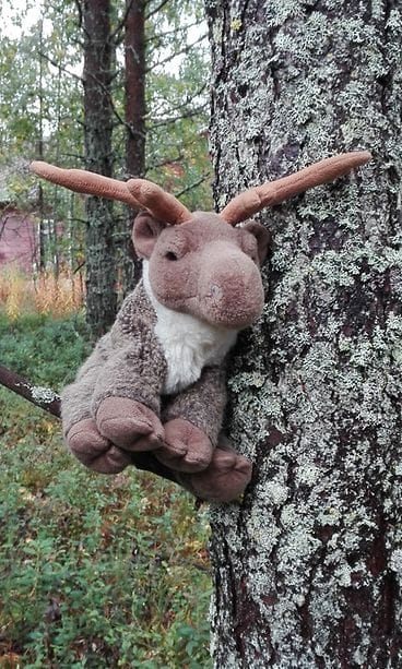 KUVA VAIN LIFESTYLEN ARTIKKELIIN. Kuva: Maiju Marttinen