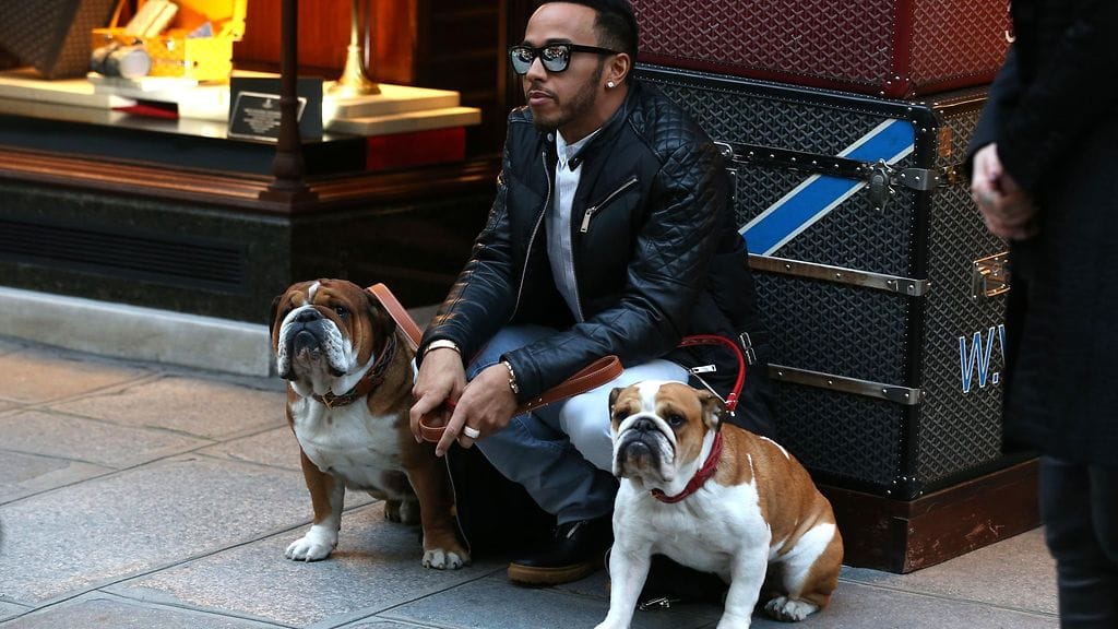 Lewis Hamilton valittiin eläinten oikeuksien ajavan PETA:n vuoden henkilöksi.