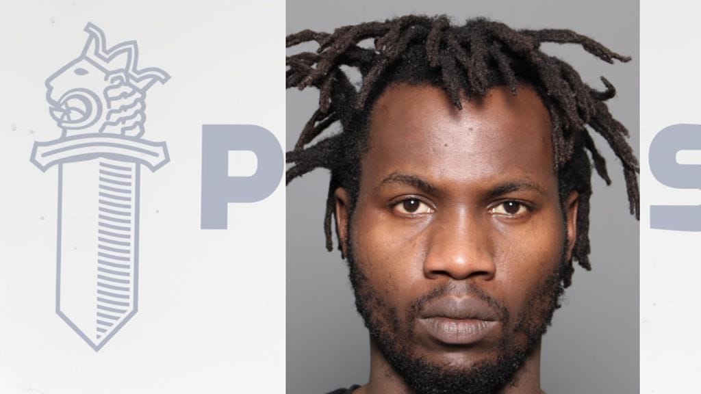 Käpylän epäilty tuhopolttaja