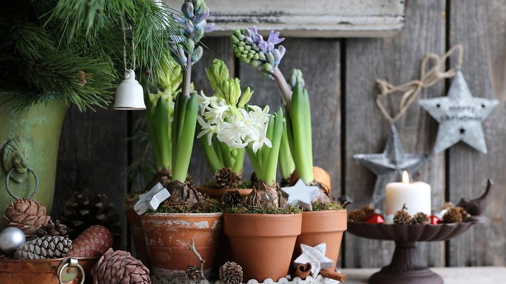 shutterstock_757558516