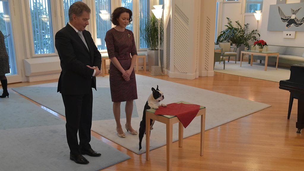 Sauli Niinistö Jenni Haukio Lennu AOP