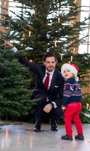 Carl Philip ja prinssi Alexander joulu (3)