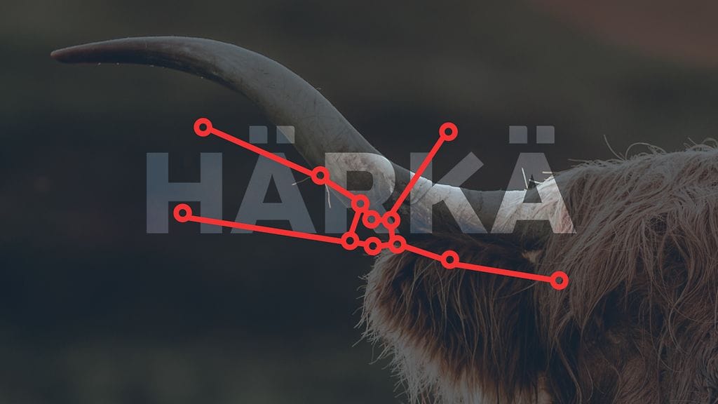 Härälle vuosi 2023 on täynnä mahdollisuuksia!