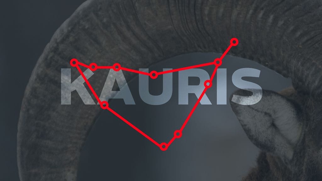 Työ on sinulle tänä vuonna elämäsi tärkeimpiä asioita, mutta vastoinkäymisiltäkään et voi välttyä.