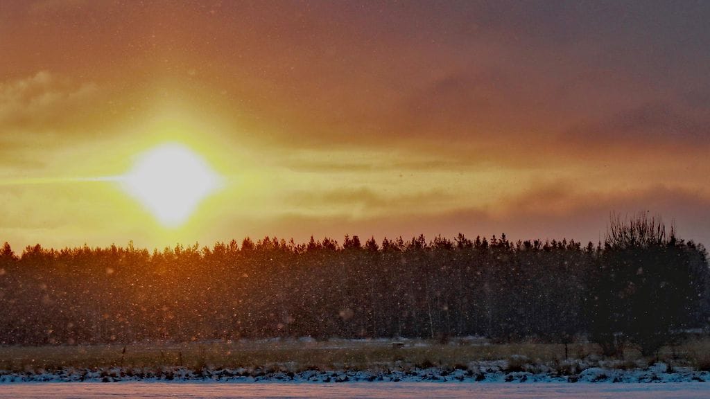 Huomisesta on tulossa aurinkoinen poutapäivä.