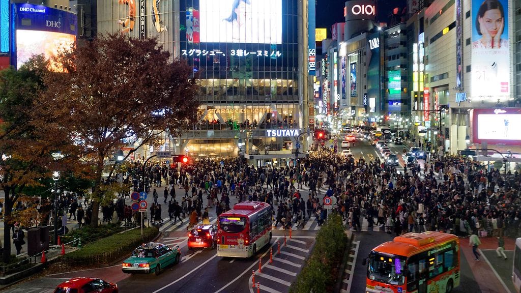 Shibuyan vilkkaalle alueelle sijoitetuissa ulkomainoksissa varoitetaan reellä liikkuvaa pukkia pilvenpiirtäjistä tekstillä "Pilvenpiirtäjä Hidätä".