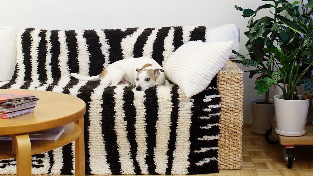 Ryijy1 kaupalliset asuntomessut