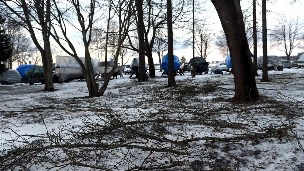 Myrsky on aiheuttanut laajasti tuhoja ympäri Suomen. Kuva Vaasasta, jossa puuskainen tuuli repi oksia puista.