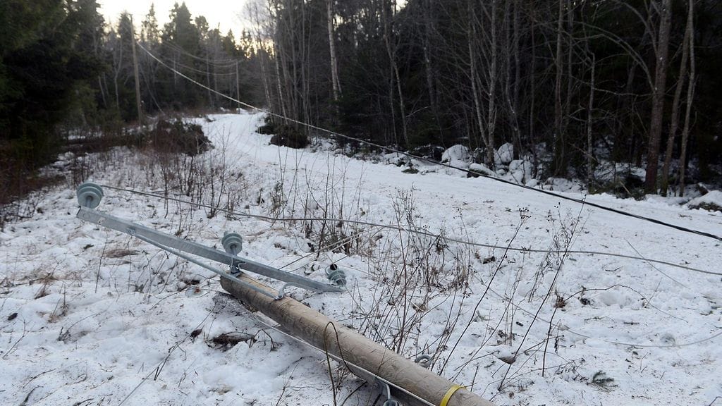 Myrsky katkoi sähkölinjoja myös Vaasassa. Kangasniemellä tuhannet kodit ovat olleet ilman sähköä tänään.