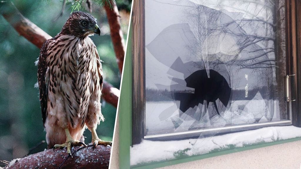 Kuva: Etelä-Savon pelastuslaitos.