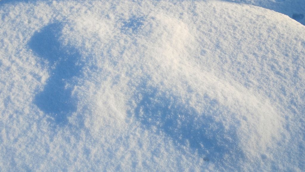 Hautausmaalla kannattaa olla nyt varuillaan, sillä painava lumikuorma voi tiputtaa puista oksia.