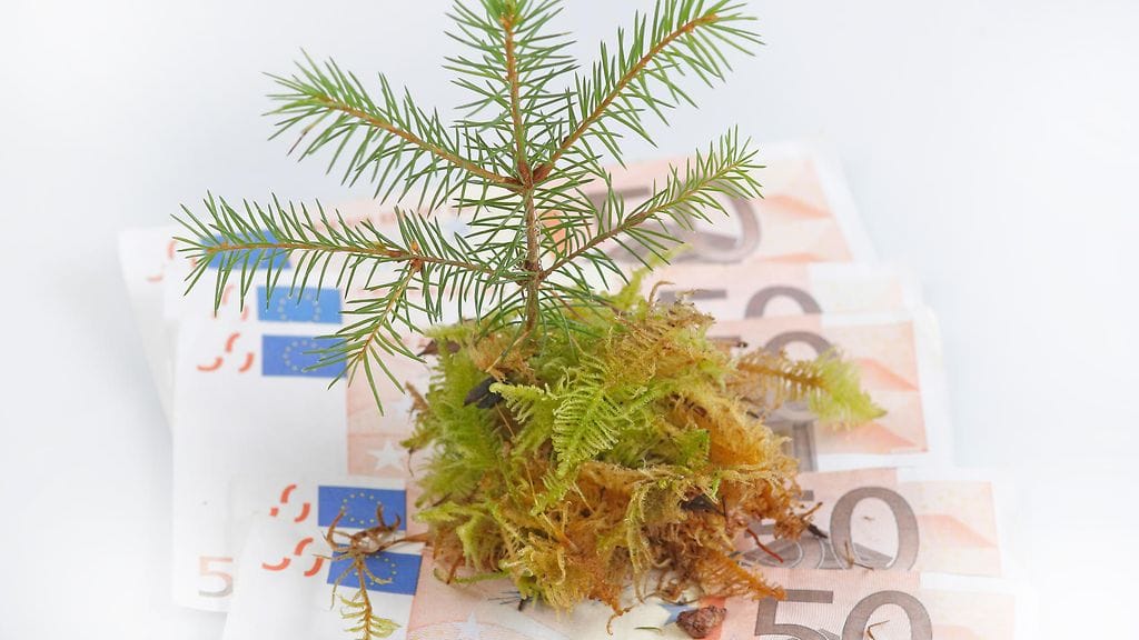 EU-komission mukaan yksityisen kulutuksen ja investointien toipuminen tukee Suomen talouskasvua lähivuosina. Kuvituskuva.