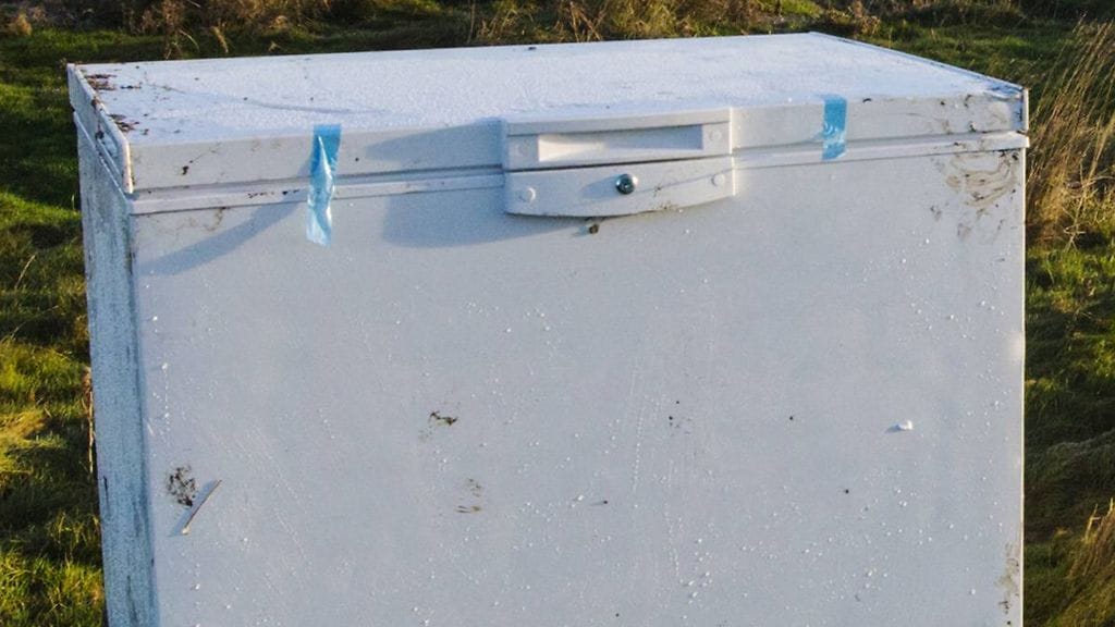 Kuvituskuva. Kolme pikkulasta on löytynyt kuolleena pakastimesta Floridassa, uutisoi BBC.