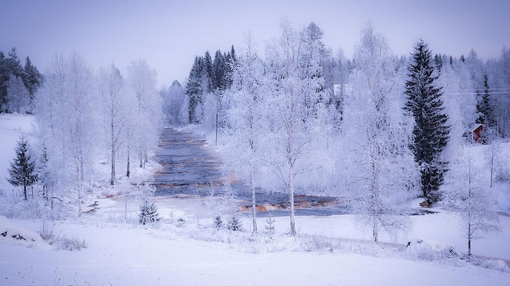 Vaikka etelässä talvea voi tänä vuonna tuskin edes kutsua talveksi, Lapissa pakkanen paukkuu.