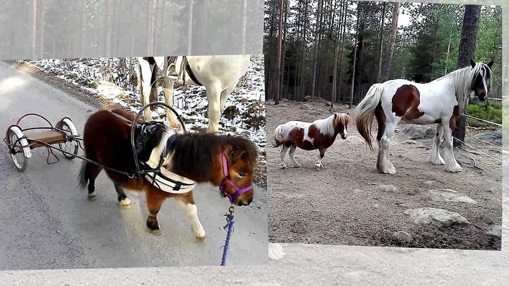 HUOM KUVA VAIN LIFESTYLEN ARTIKKELIIN Kuvat Uljaksen Instagram-tililtä