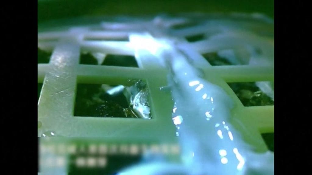 Kiina teki jälleen avaruuden historiaa - sai kasvin itämään Kuun pimeällä puolella