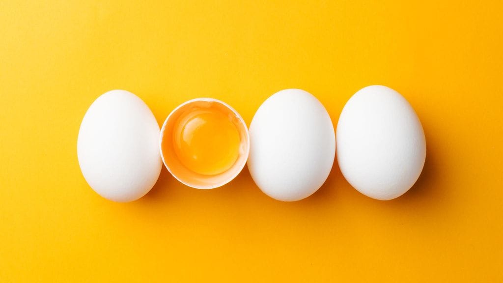 shutterstock_753472711