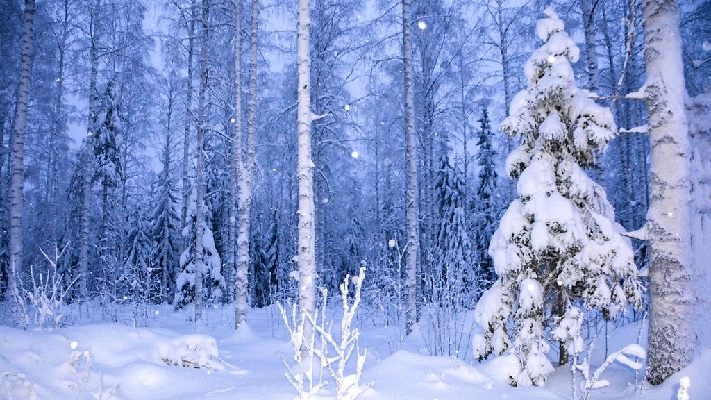 Nurmeksessa maisema muistuttaa jo talven ihmemaata.